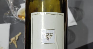 6a Chardonnay Qvevri