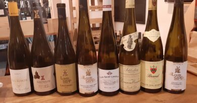 vue ensemble vins Alsace