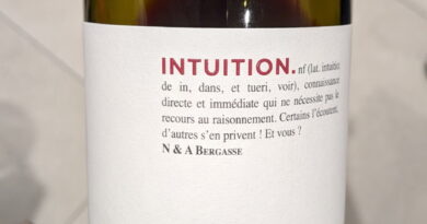 03 Intuition - Château Viranel