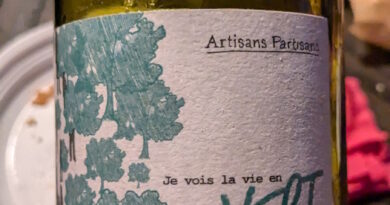 6 Je vois la vie en Vert - Artisans Partisans - 2022