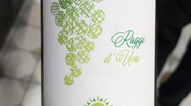 1 Verdicchio Dei Castelli Di Jesi Raggi d'Uva (2022)